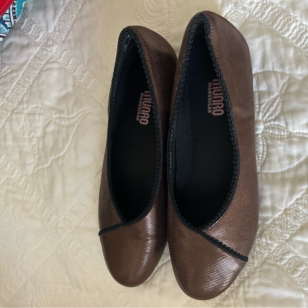 Bronze colored flats with a sheen. Size 10
